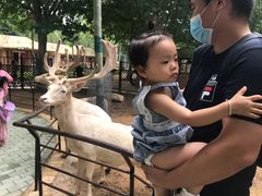 -北戴河集发农业梦想王国
