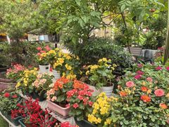 -山水茶艺馆·点心粤菜·30年老字号