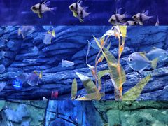 -欢乐海岸海洋奇梦馆