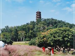 -红花山公园