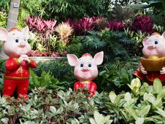 -北京植物园-展览温室