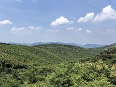 -莫干山风景区