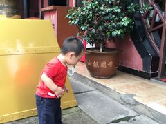 -峨眉山报国寺