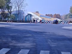 -合肥滨湖国家森林公园