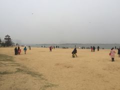 -瑶湖郊野森林公园