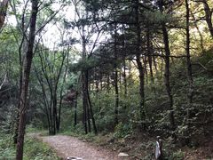 -青龙山风景区