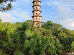 -江心屿景区