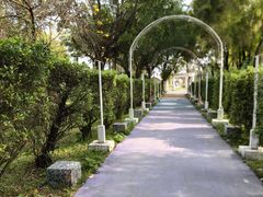 -广东花都香草世界旅游度假区