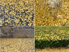 -苏州河梦清园环保主题公园