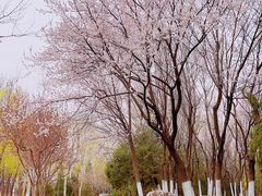 -东升八家郊野公园