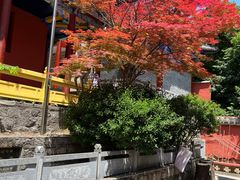 -皇藏峪国家森林公园