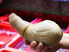 -巽寮印象美食部落餐厅·海鲜·地方特色菜(惠州体验店)