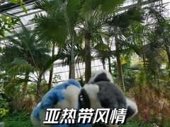 -南山植物园