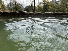 -三江森林温泉度假区