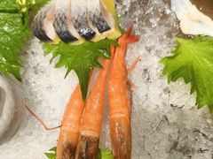 -極上萬膳·日料放题(海岸城店)