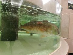 -白金汉爵大酒店·中餐厅(相城店)