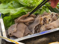 -金鼎雪山牦牛杂火锅(理县总店)