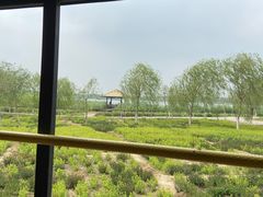 -西青郊野公园
