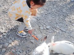 -西部长青自然儿童乐园