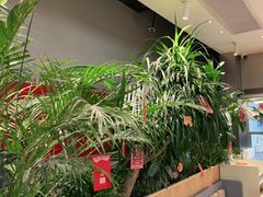 -渔语鱼酸菜鱼新川菜(万象城店)