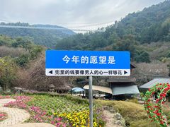 -广东天露山旅游度假区