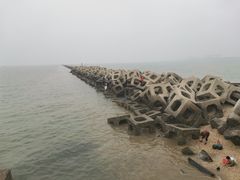 -东疆建设开发纪念公园