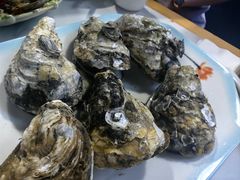 -威海渔村(静安旗舰店)