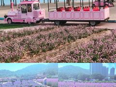 -玫瑰海岸文化旅游度假区