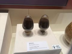 -隋唐大运河文化博物馆