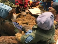 -济州岛泰迪熊博物馆