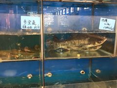 水产区-聚丰园•湖鲜餐厅(阿红私房菜梅石路店)