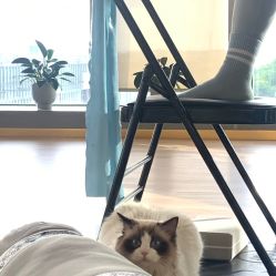 -小黑裙瑜伽·普拉提