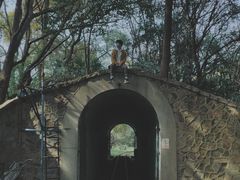 -共青国家森林公园-售票处