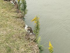 -上海月湖雕塑公园
