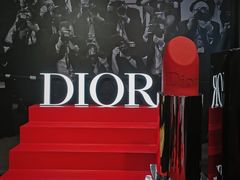 -Dior迪奥(上海世茂广场店)
