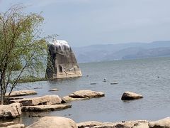 -洱海月湿地公园