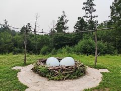 -五营国家森林公园