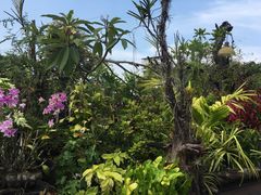 -自然餐厅(Phuket)