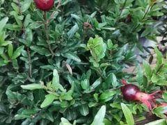 -孔子六艺文化园