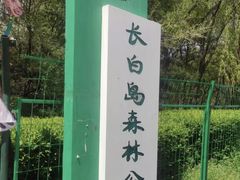 -长白岛森林公园