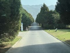 -秦始皇帝陵博物院-丽山园
