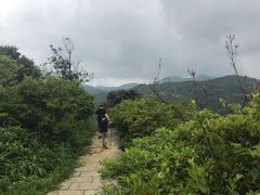 -广州市石门国家森林公园