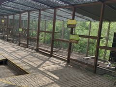 -欢乐松鼠谷