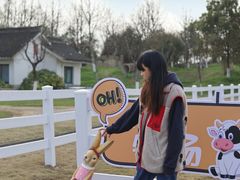 -杭州湾海上花田景区