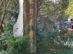 -包公祠
