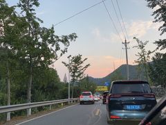 -千年银杏谷文化旅游区