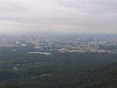 -紫金山山顶公园