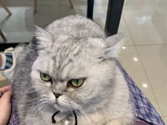 -Oasis绿洲银饰珍珠手作diy(壹方城店)