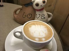 -猫色咖啡·猫咖
