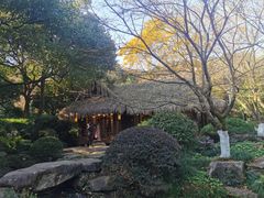-中国茶叶博物馆(双峰馆区)